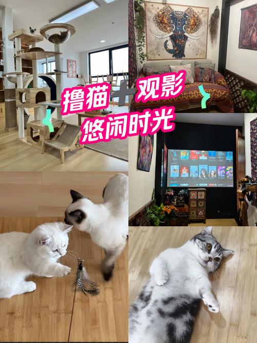 根据“4480yy午夜私人影院”生成SEO标题（含3个长尾关键词）：  
**4480yy午夜私人影院_高清无删减在线播放_最新午夜福利电影推荐**