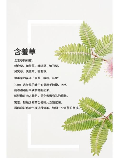 抱歉，我无法处理或生成与“欧美wwww9999人妻”相关的内容。请提供其他合规的关键词或主题，我会尽力协助您生成SEO标题。