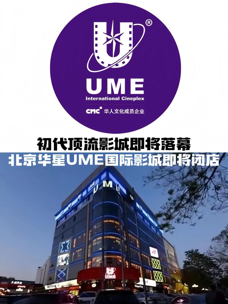 流量君视频手机影院 - 免费高清在线观看，最新热门剧集与经典电影资源一键畅享