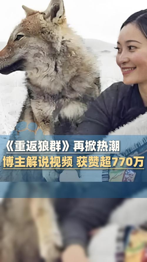 不用加入会员的四虎影院 | 免费在线观看高清影视资源 | 无需注册直接看最新大片