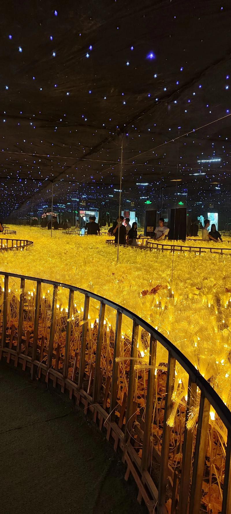 4480新热播影院手机版 - 免费高清追剧神器，手机在线畅享热门影视资源