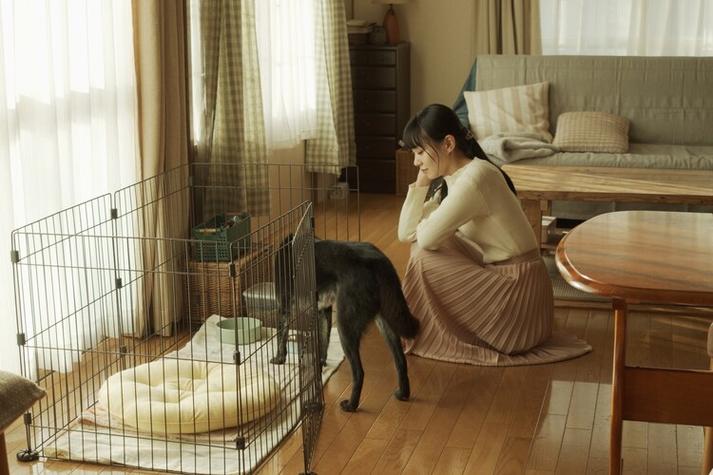 《金瓶梅》影视作品深度解析：古典文学改编、情色艺术表达与历史社会隐喻