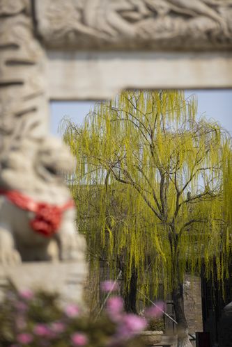 电影院儿童购票规定详解 小孩看电影要买票吗 带娃观影购票标准