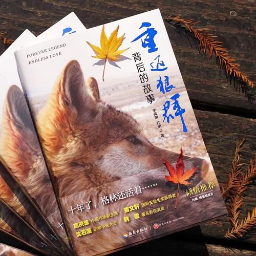 星空影院：最新热门电影在线观看，高清无广告畅享极致观影体验