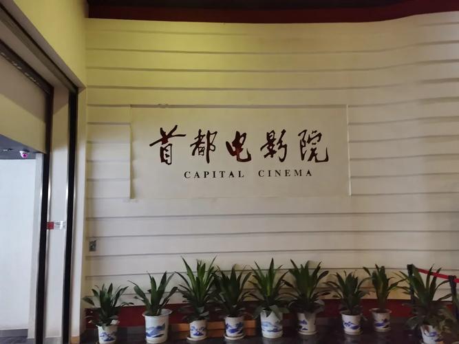 小七电影院在线选座指南 | 最新电影排期查询 | 特惠电影票预订