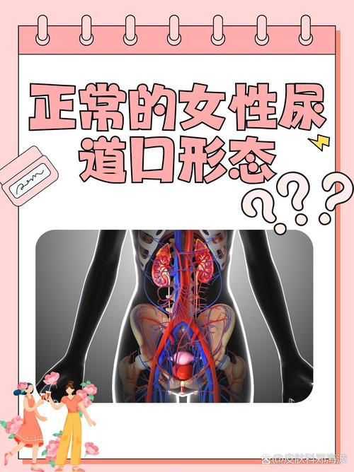 策驰影院 在线观看的相关介绍