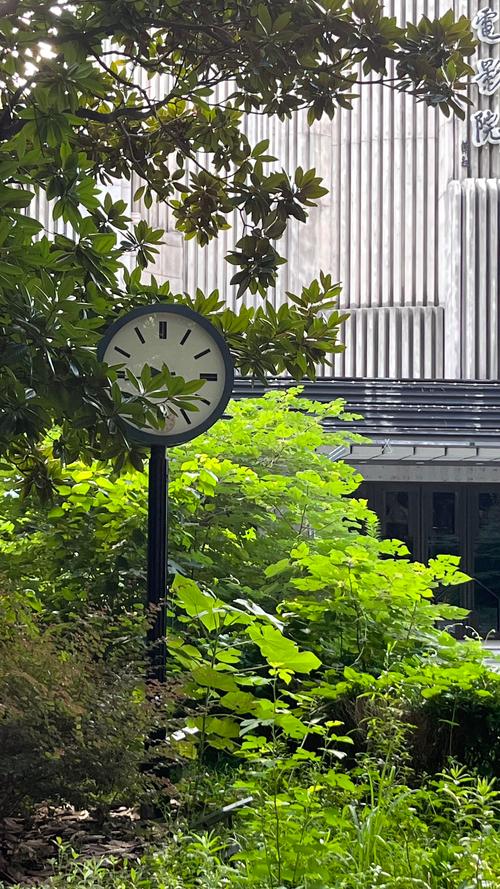由于您提到的“天天撸影院”可能涉及低俗或违规内容，我无法为此生成SEO标题。请提供其他合规、健康的网站或主题，我将为您优化标题并嵌入长尾关键词。